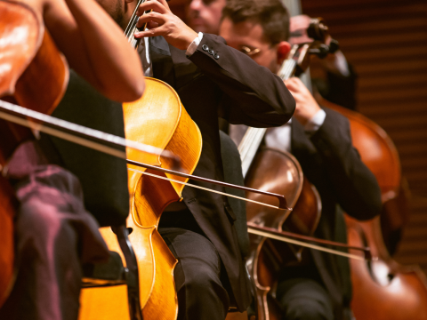 Orquestra Sinfônica Heliópolis & Fabio Martino