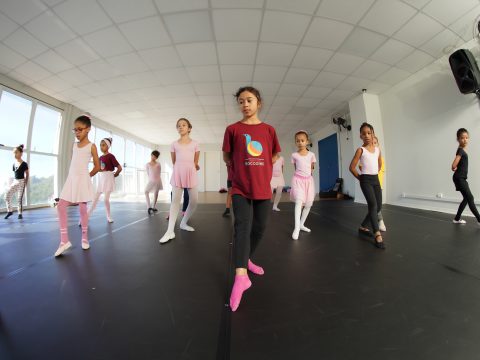 Mostra Baccarelli de Dança